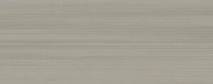 Diana Grigio 20,1х50,5