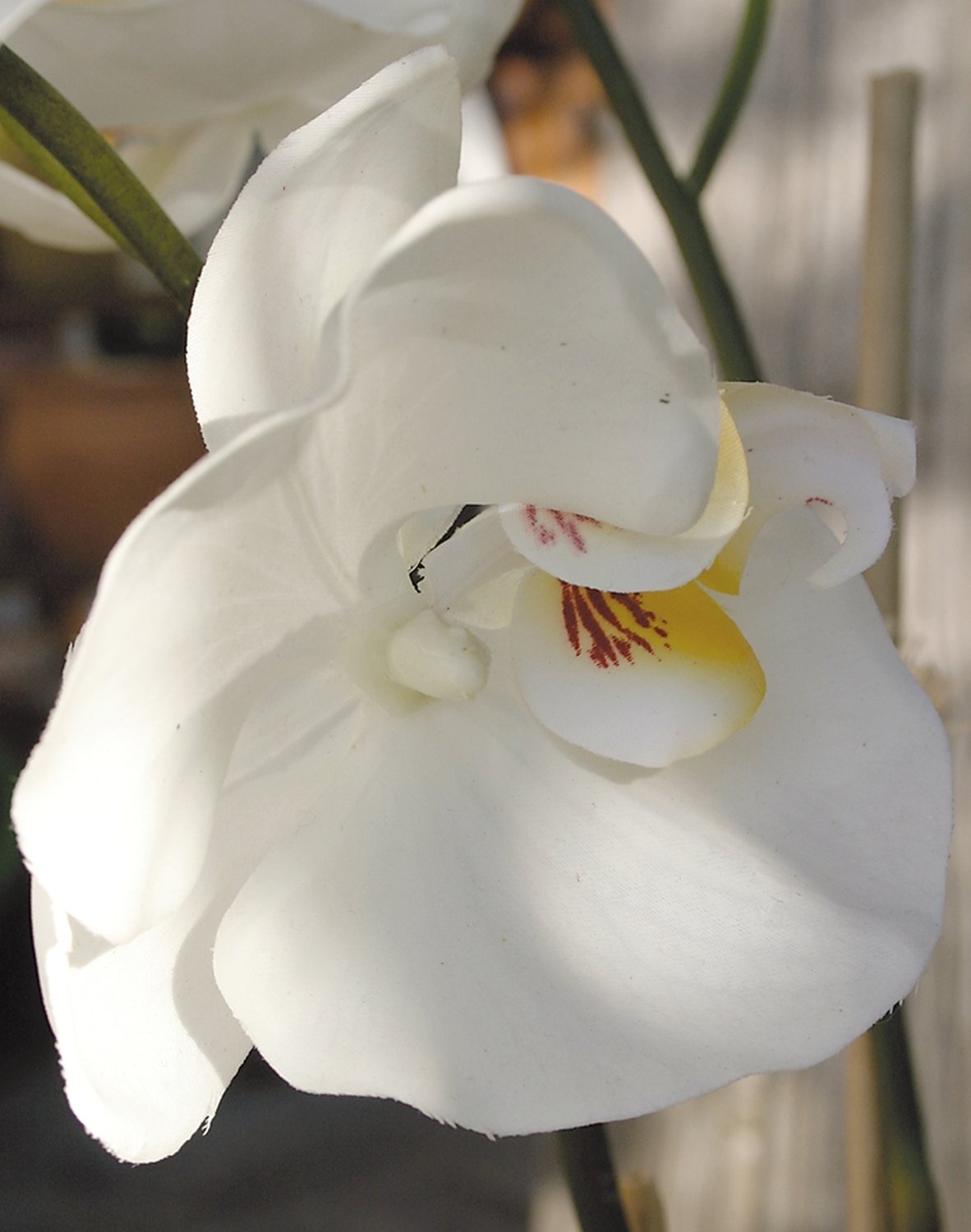 2505 777 a3 Искусственная орхидея Phalaenopsis, горшечная, 110 см, real touch, белая H-andreas 