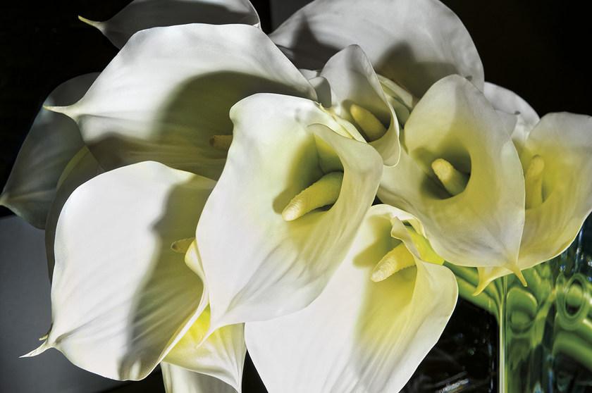 VGnewtrend Искусственное растение  1141180.95  - Вид №2