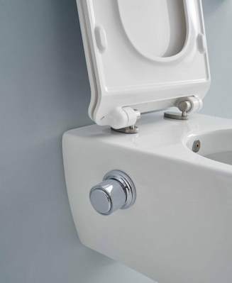 CT2039V-B (NC2039V) Унитаз SSWW CT  - Вид №2