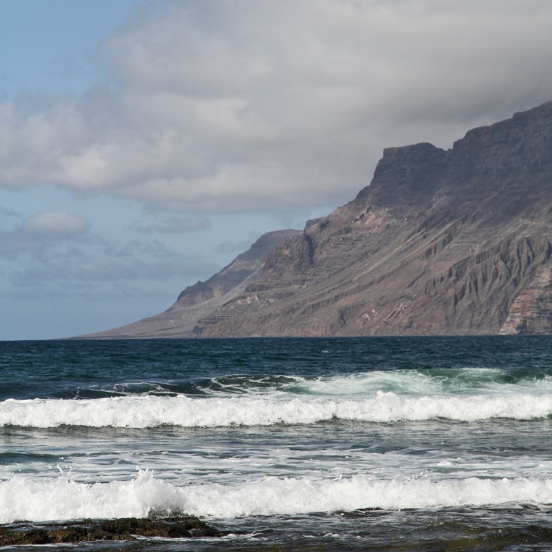 1281/CX38 Картина 1298 Adriani e Rossi  - Вид №1