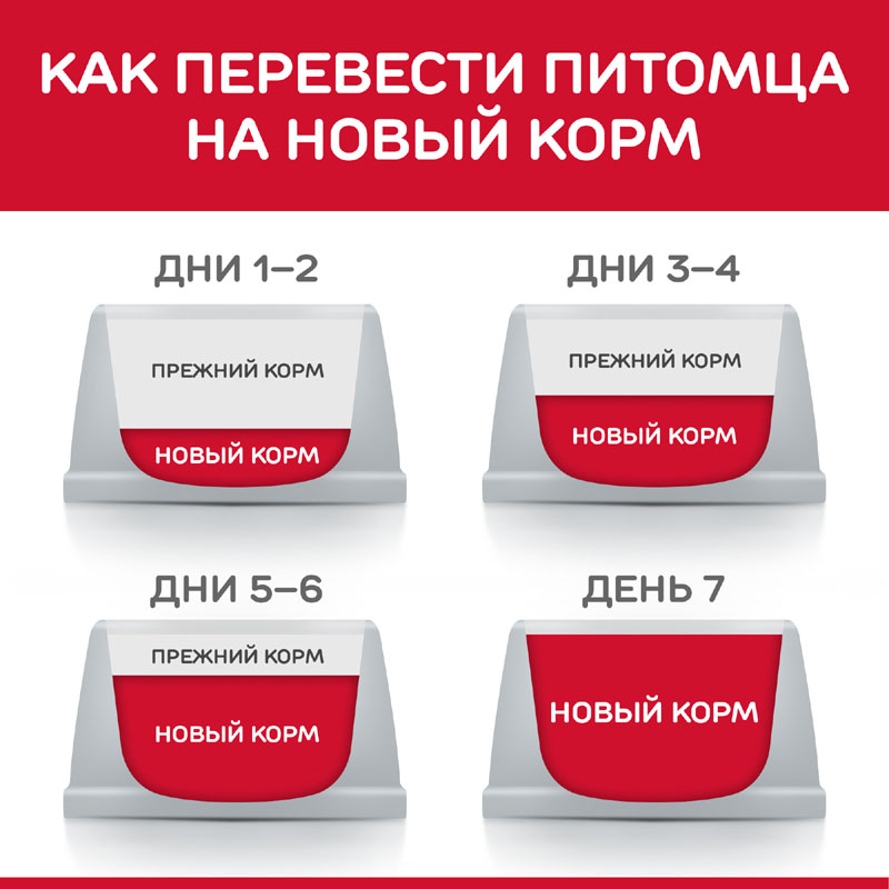 ПР0037504 Корм для собак Hill"s для миниатюрных пород с чувствительным пищеварением, курица сух. 1,5кг Hill's  - Вид №5