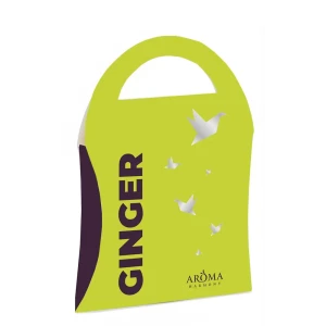 Саше ароматизированное Ginger 10 г 84182442 STLM-2107733