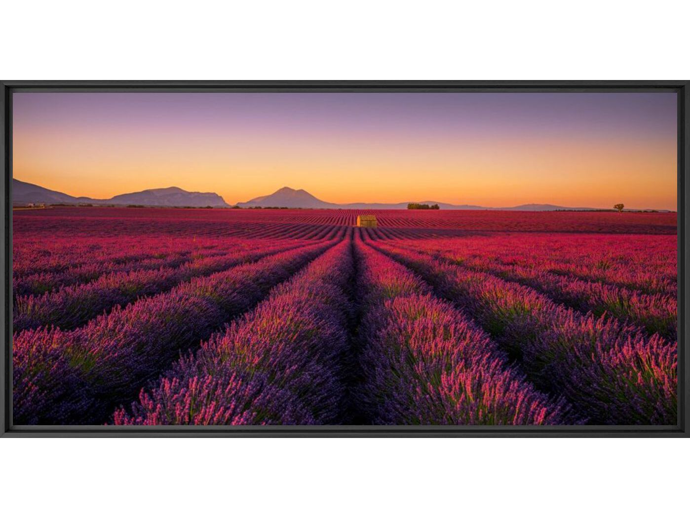 Печать фотографий на бумаге YellowKorner пейзаж ARCH-00110904 - Вид №1