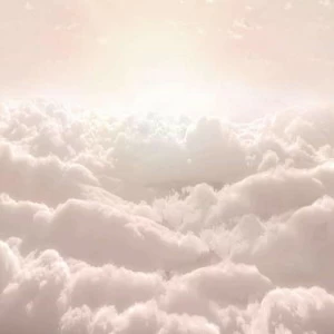 WP00476 Фотообои Verol Фотообои decoline 1х1 м