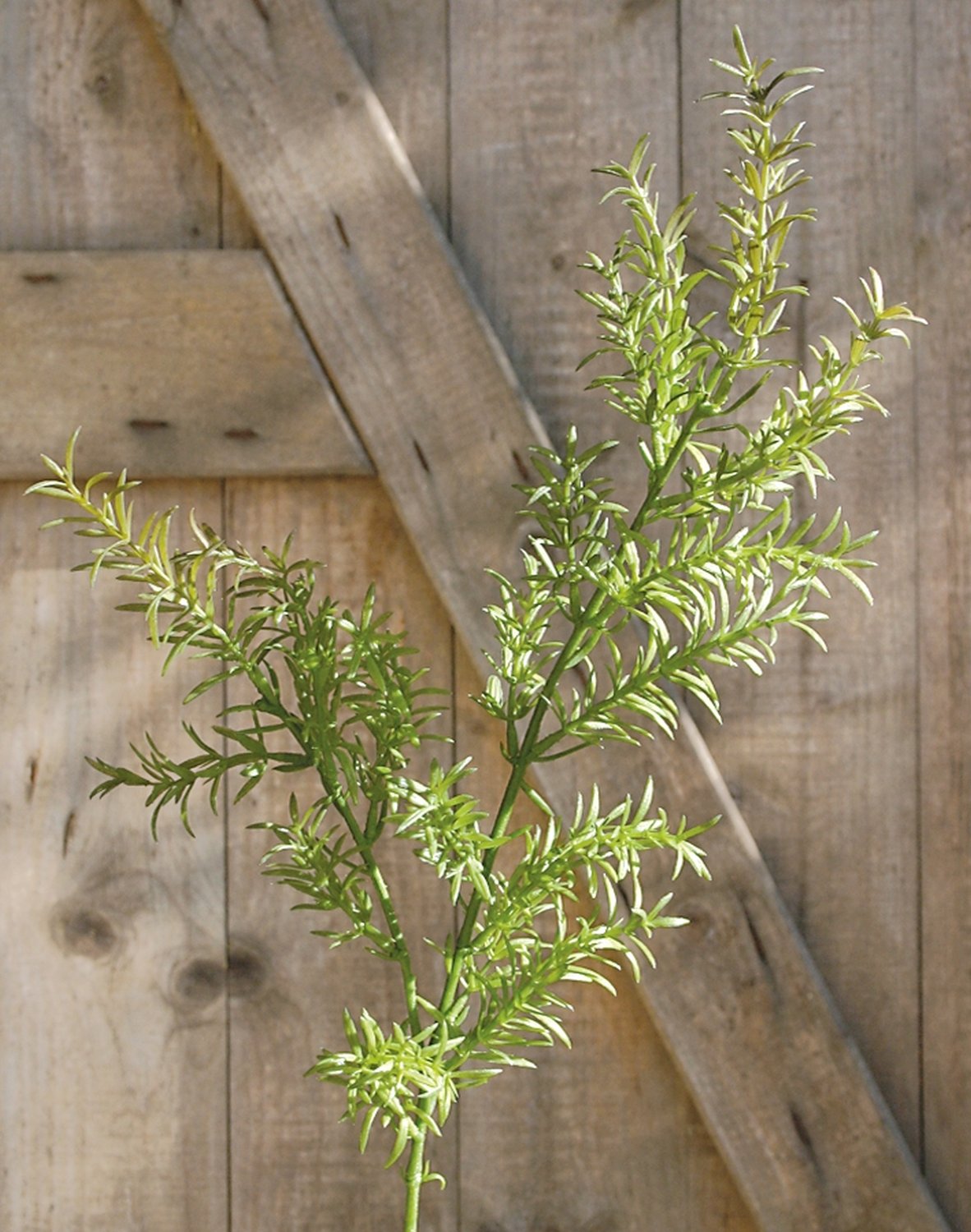 4829 883 a2 Искусственный спрей для спаржи, синтетический материал, 79 см, зеленый H-andreas 