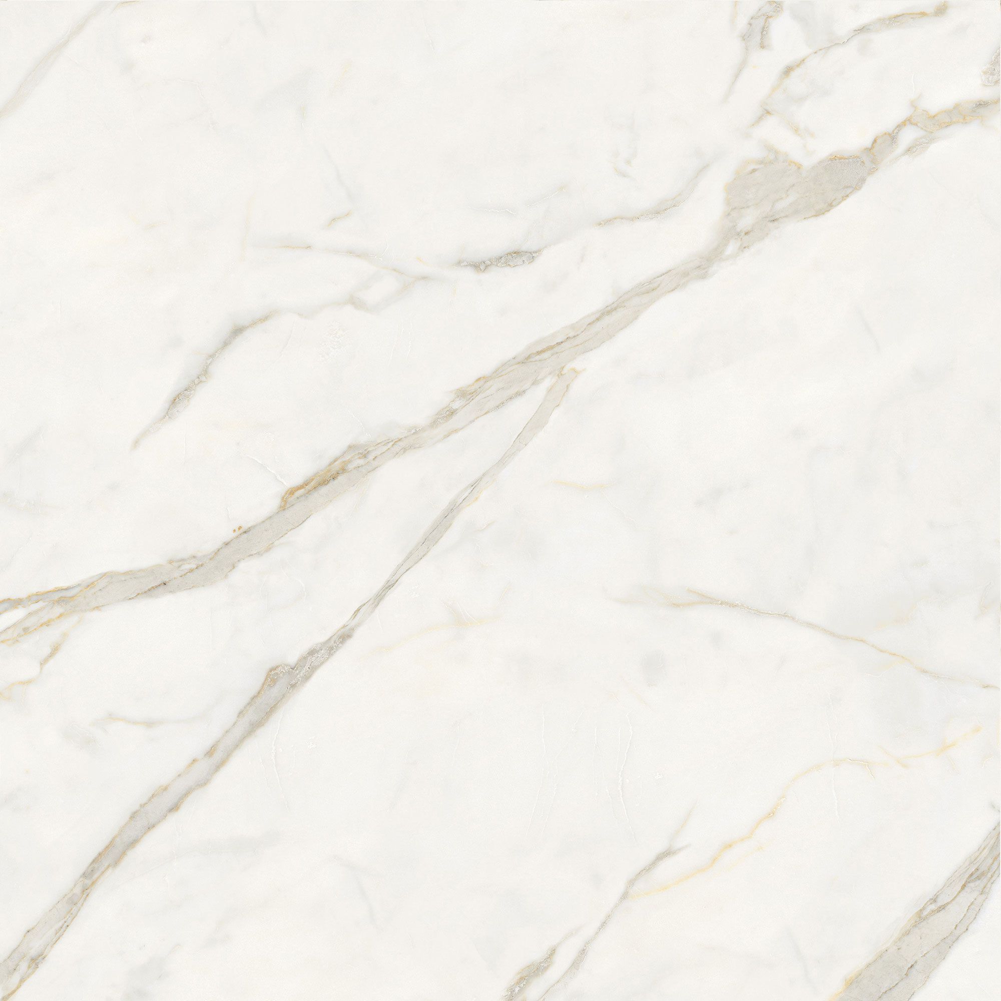 Пол / керамогранит с мраморным эффектом Italgraniti Marble Touch ARCH-00152884 - Вид №13