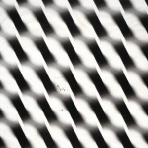 0904/CX38 Картина 0904 Adriani e Rossi