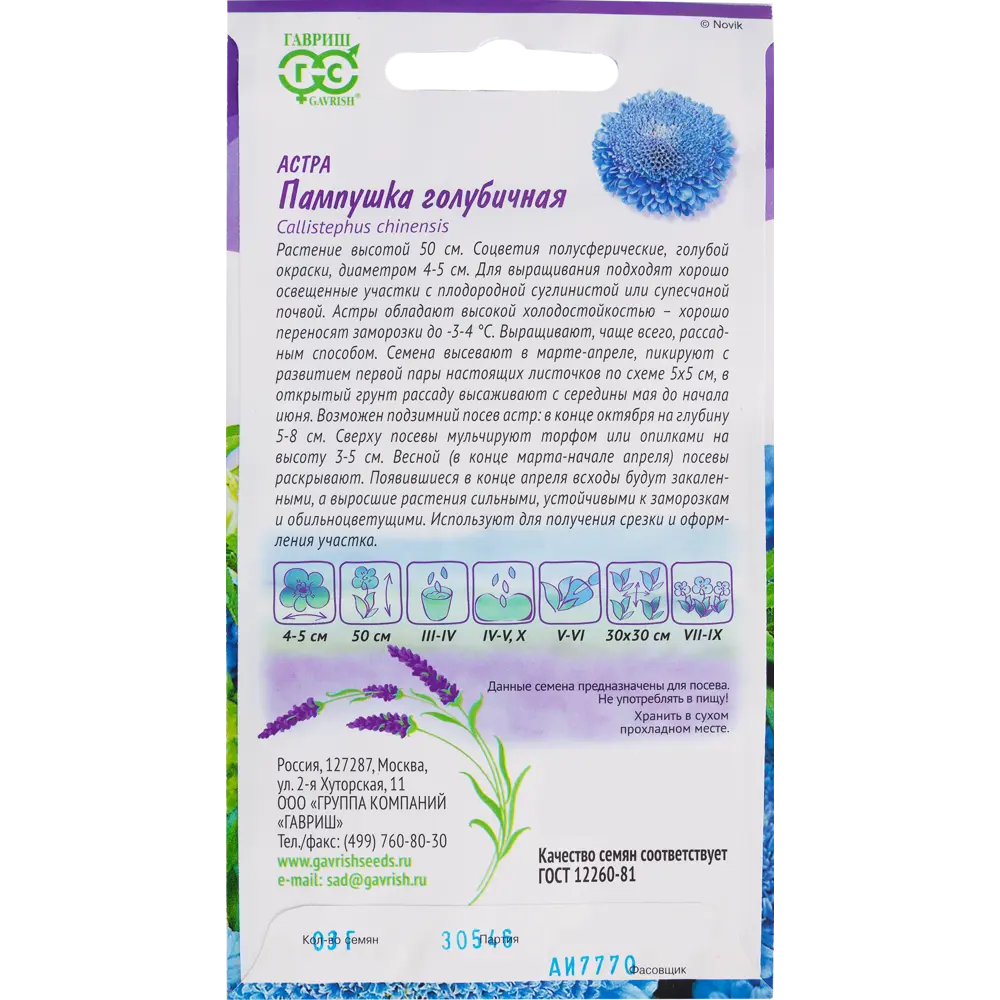 Астра «Пампушка голубичная» помпонная, 0.3 г 82097821 STLM-2064000 ГАВРИШ  - Вид №1