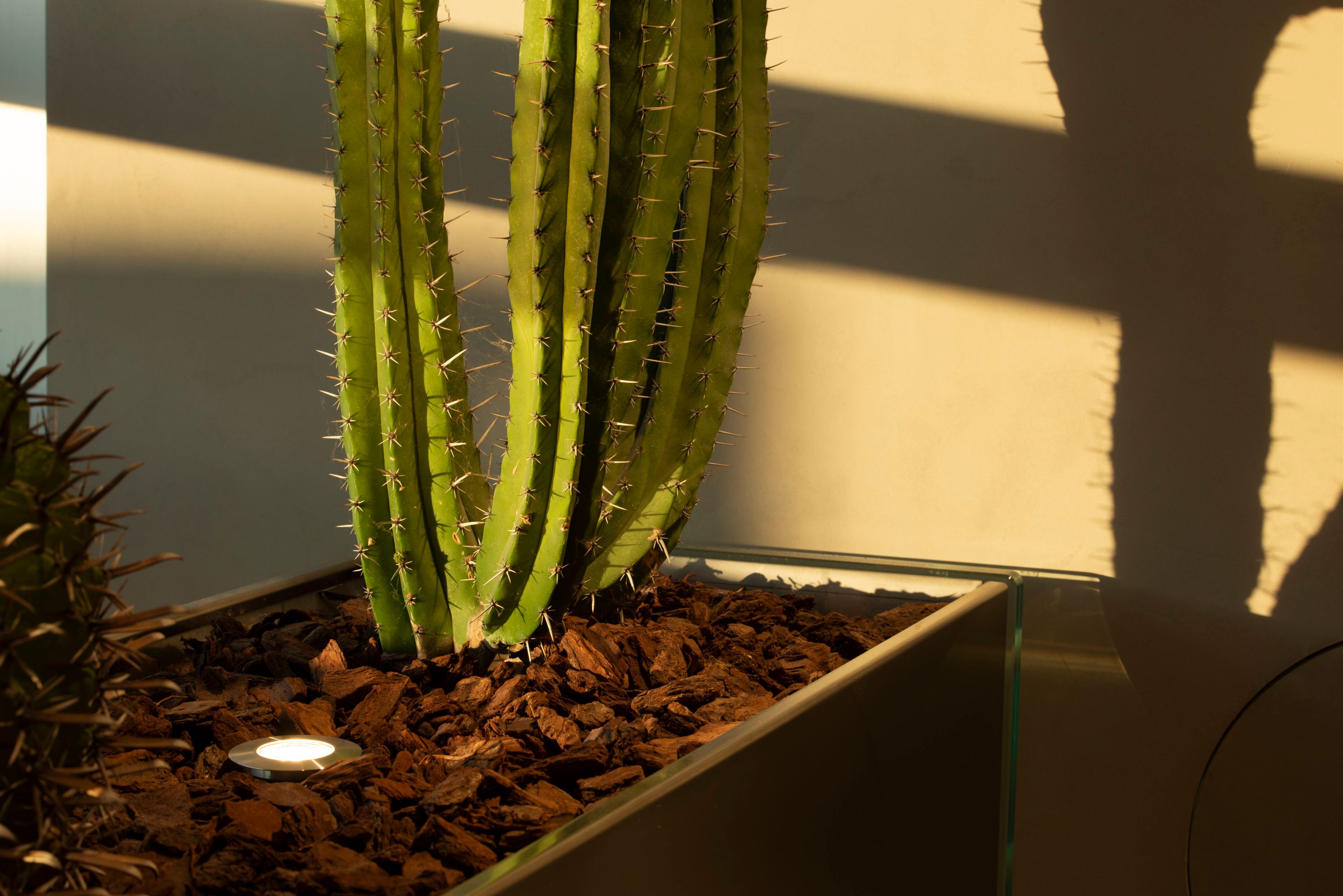 Утопленный напольный светильник Сид TARGETTI Юпитер ARCH-00068896 - Вид №1