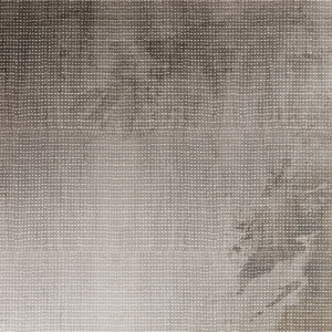 WP04057A Обои декоративные Adriani e Rossi