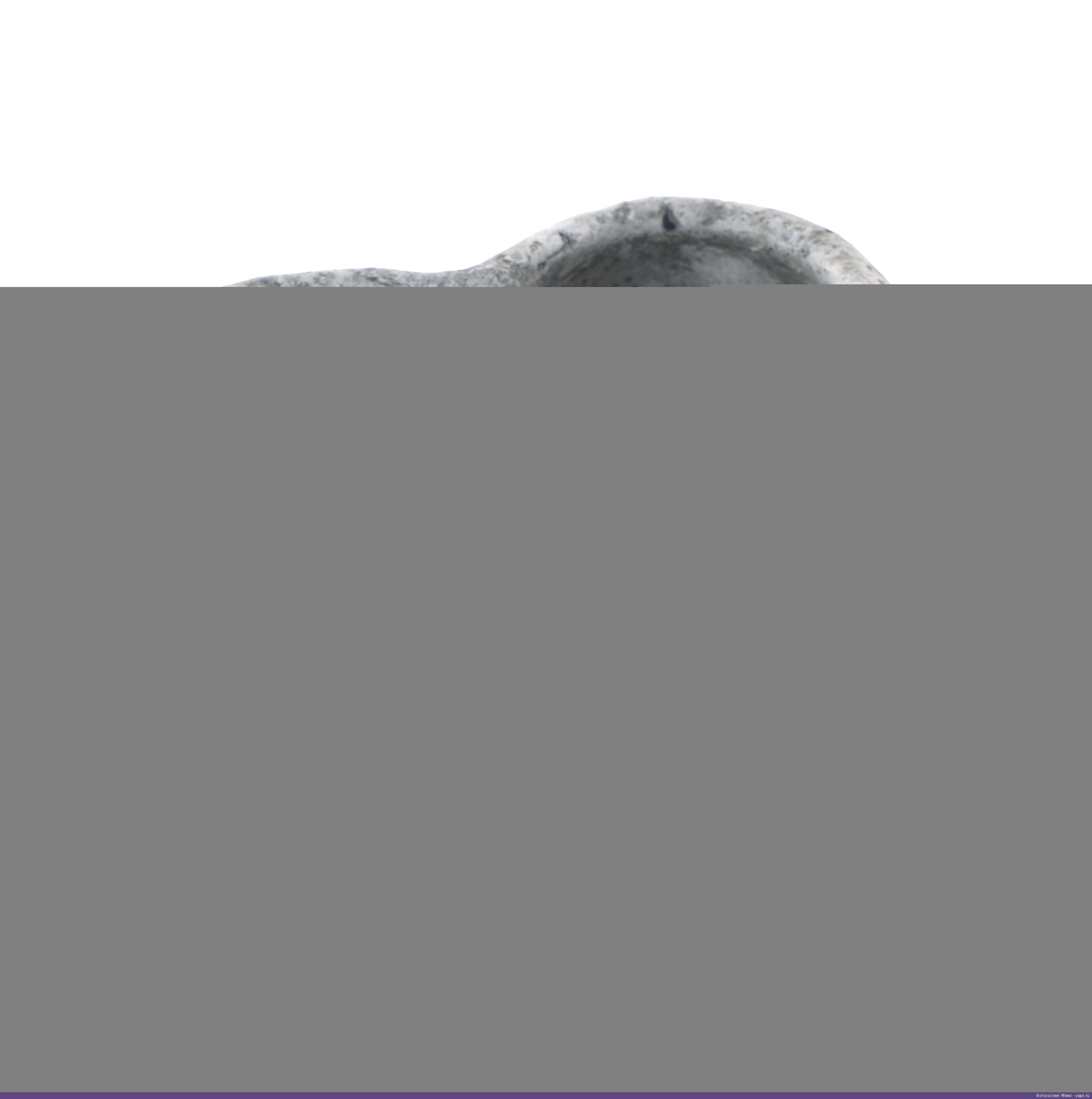 3870507.0181 Кашпо TO4ROOMS  - Вид №1