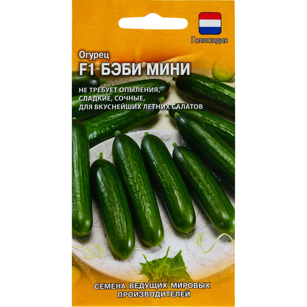 Семена Огурец «Бэби Мини» (Голландия) F1, 5 шт ГАВРИШ STLM-2166255