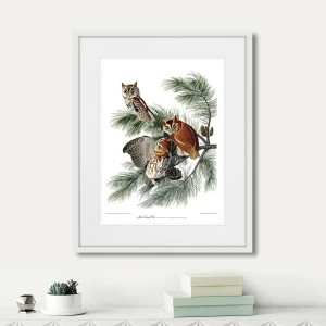 Литография на тонированной бумаге 42х52 см Eastern Screech owl, 1845г. КАРТИНЫ В КВАРТИРУ  264486 Белый;коричневый;разноцветный