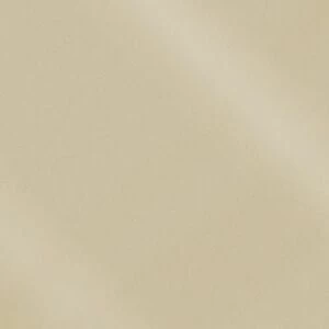 Моноколор CF 100 аворио полированная 600x600