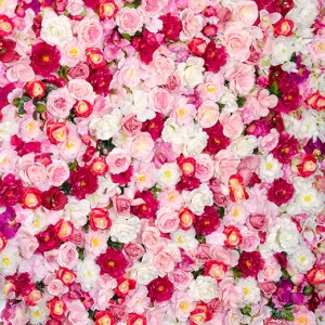 B2-093 Фотообои DIVINO Collection B 2.7х2 м