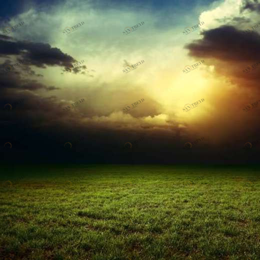 WP01501 Фотообои Verol Фотообои decoline 1х1 м