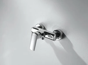 Смеситель для ванной комнаты для душа REAL F9121179CP-01 bravat