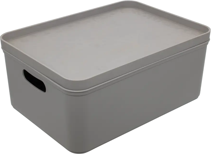 BEROSSI Органайзер для хранения 6 л, серый пластик 82771098