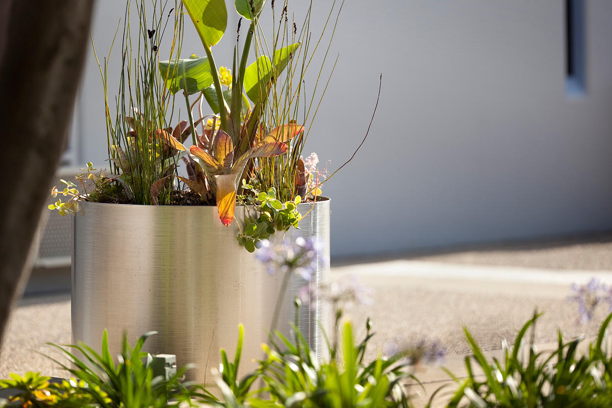 FSRT216 Универсальная сеялка  Forms-surfaces 