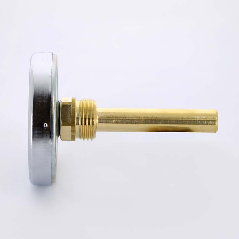 Термометр биметаллический F+R801 63 мм 120° WATTS с погружной гильзой 75 мм 10005809 - Вид №2