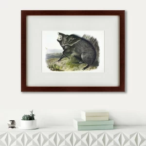 Литография на тонированной бумаге 47х60 см "Ошейниковый пекари, 1845-48" КАРТИНЫ В КВАРТИРУ  191728 Белый;коричневый;черный;разноцветный