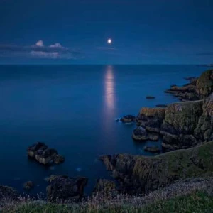 WP02207 Фотообои Verol Фотообои decoline 1х1 м