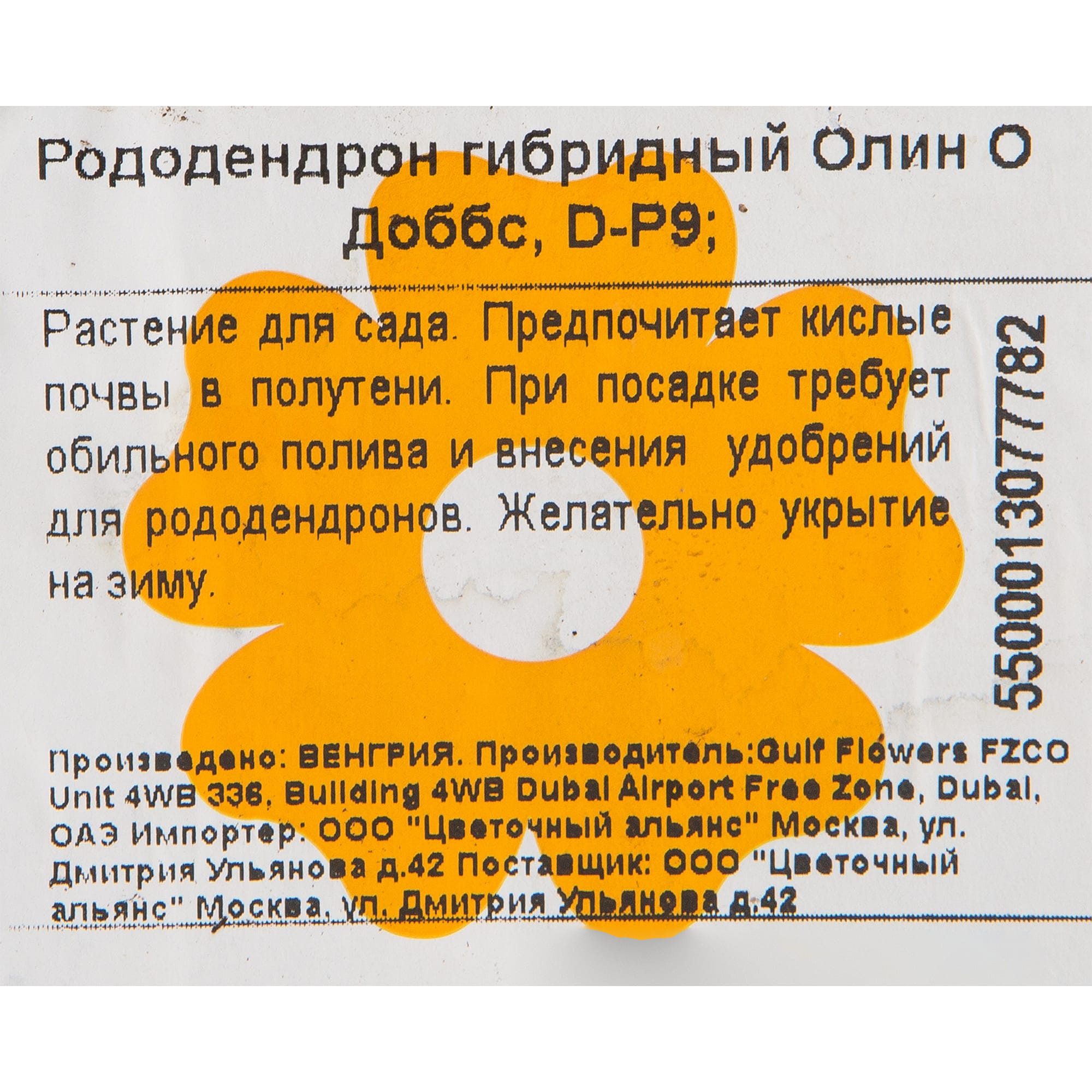 82601839 Рододендрон гибридный «Олин О Доббс» 9x20 см Santreyd 