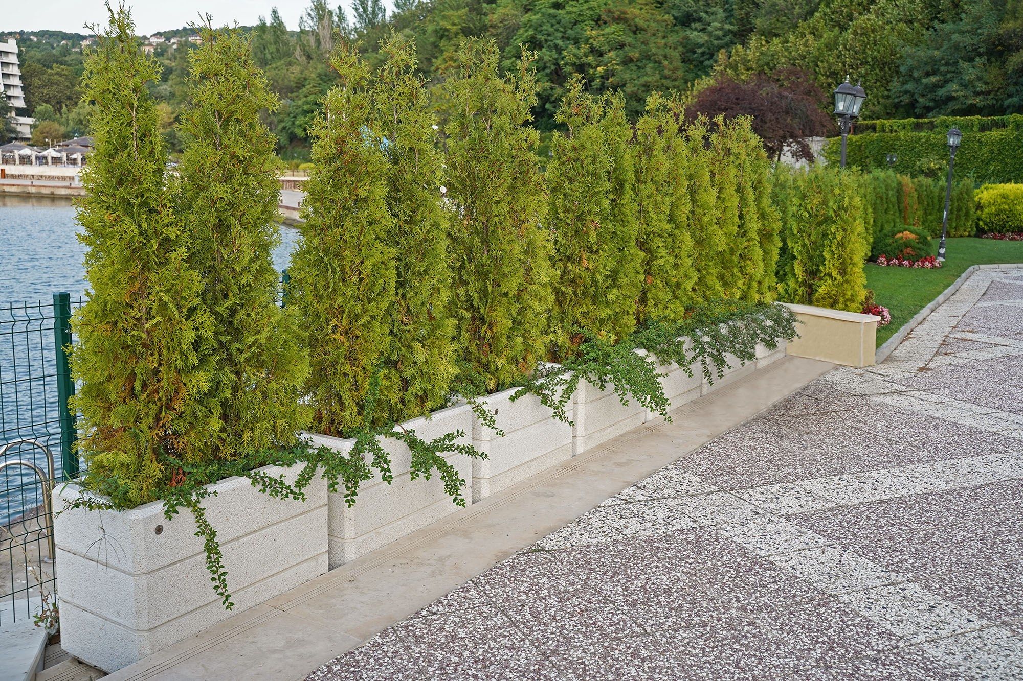 Бетонная плантатор ENCHO ENCHEV - ETE 78/79 ARCH-00121964 - Вид №4