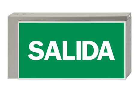 DST-819 Lisu pennant Daisalux Светильники аварийные Серебристо-Серый 