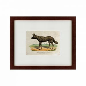 Картина: A tortoise-shell hyena, or hye, 1830 КАРТИНЫ В КВАРТИРУ  135641 Разноцветный
