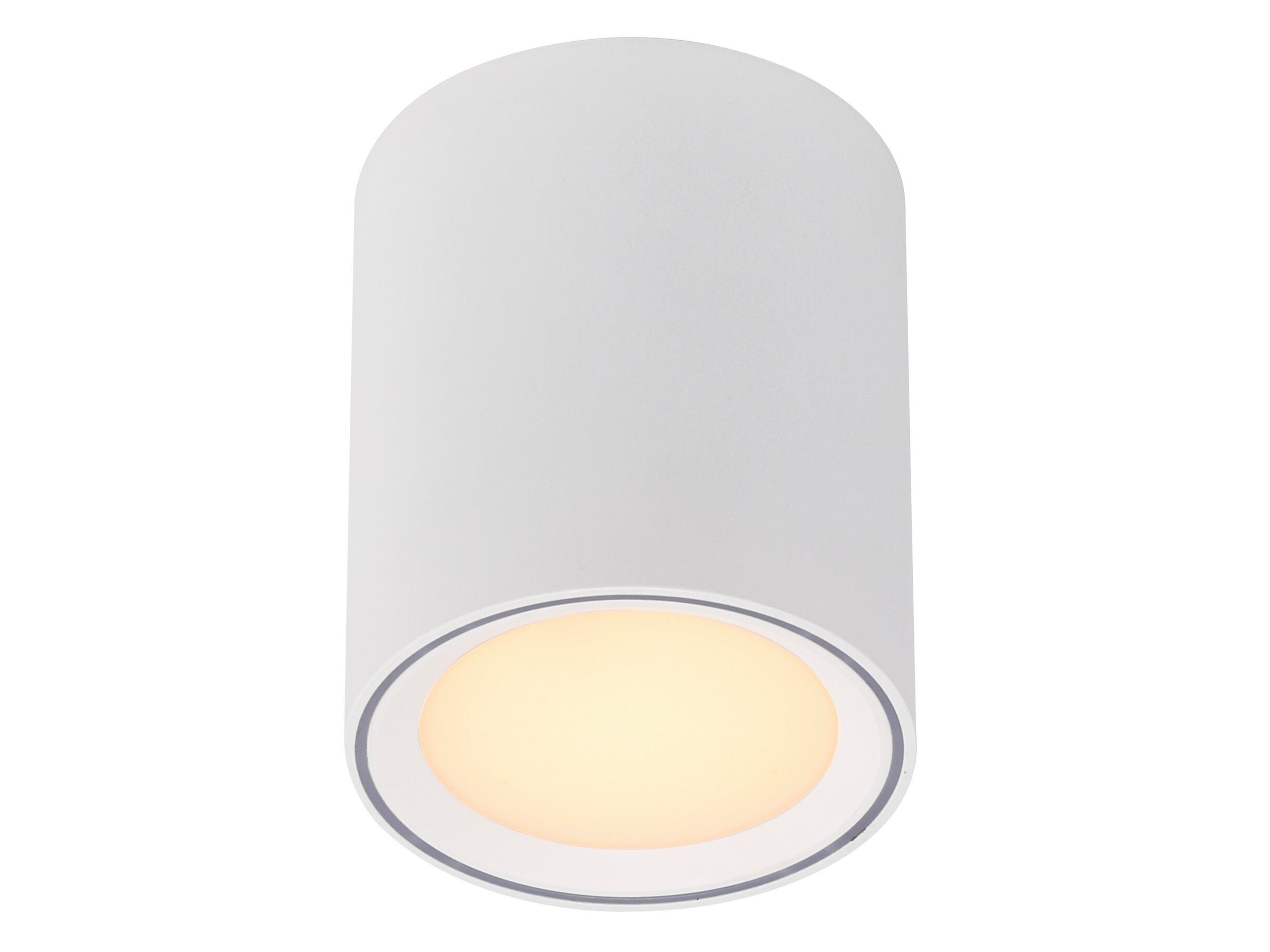 Потолочный металлический прожектор Nordlux FALLON LONG ARCH-00053496 - Вид №1