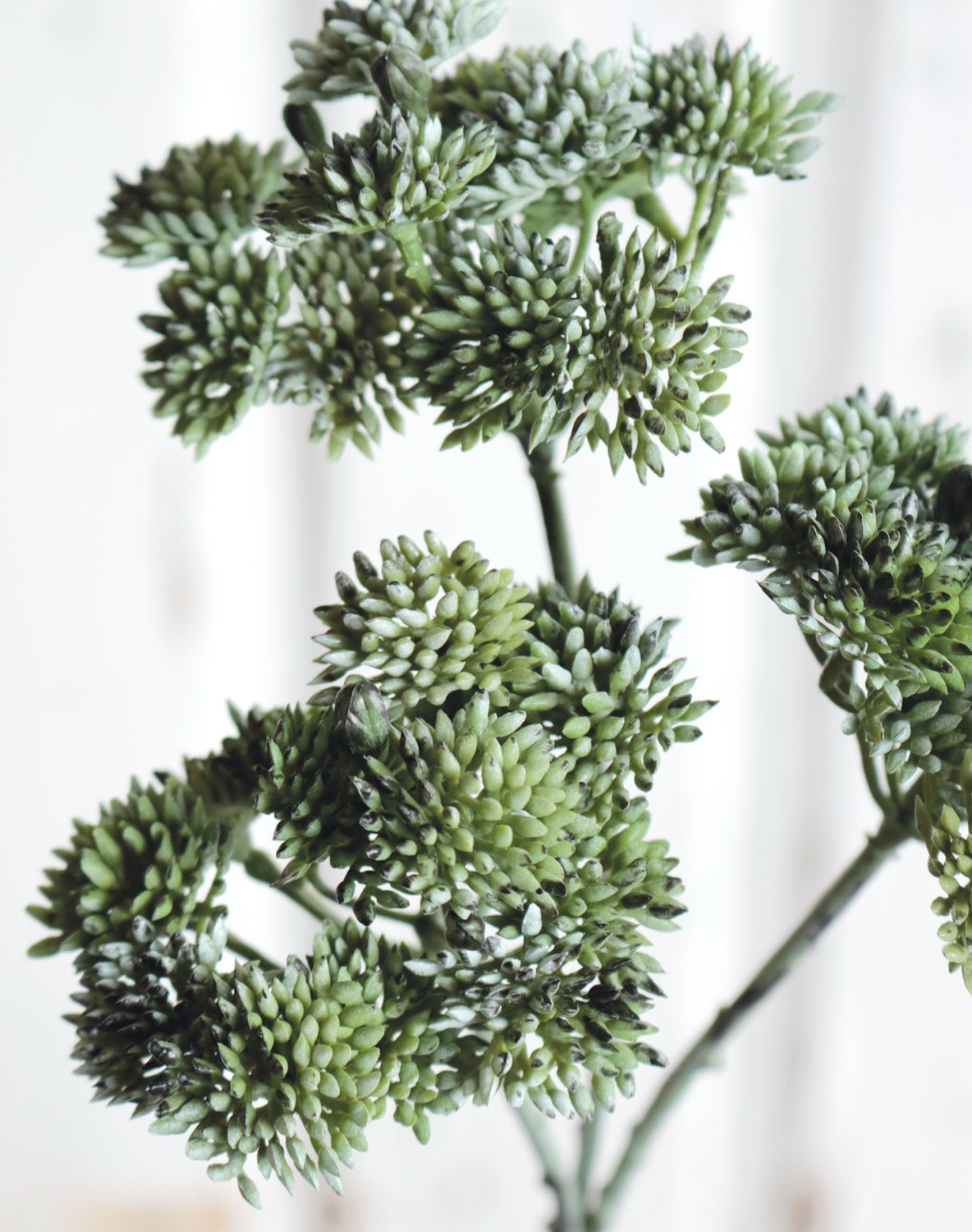 6699 819 a3 Ветка очитка искусственная, 32 см, матово-зеленый H-andreas  - Вид №1