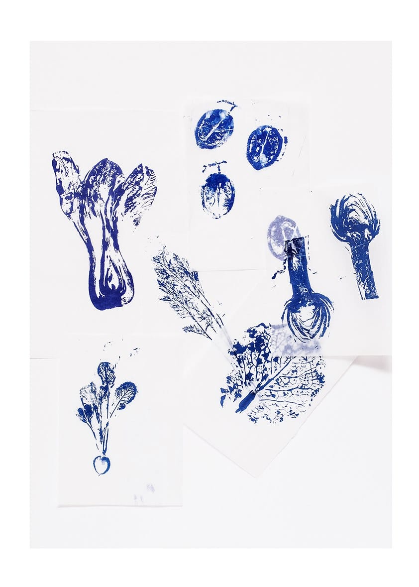 Фарфоровая десертная тарелка Non Sans Raison Végétal ARCH-00129963 - Вид №2