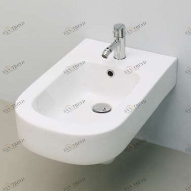 46437 Биде подвесное Wellcome Rapsel