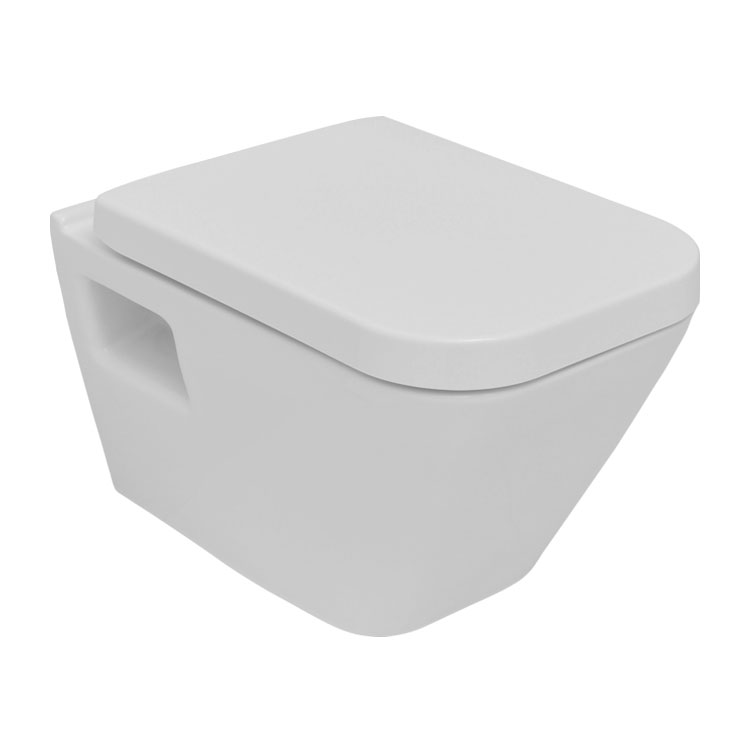 Dg10  DG10 УNitaз диагональный настенный 53см Eca 