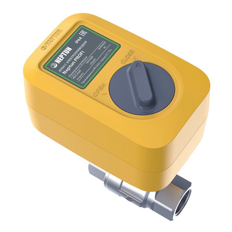 Кран с электроприводом Neptun Profi ССТ 1" 220В 43054115000003