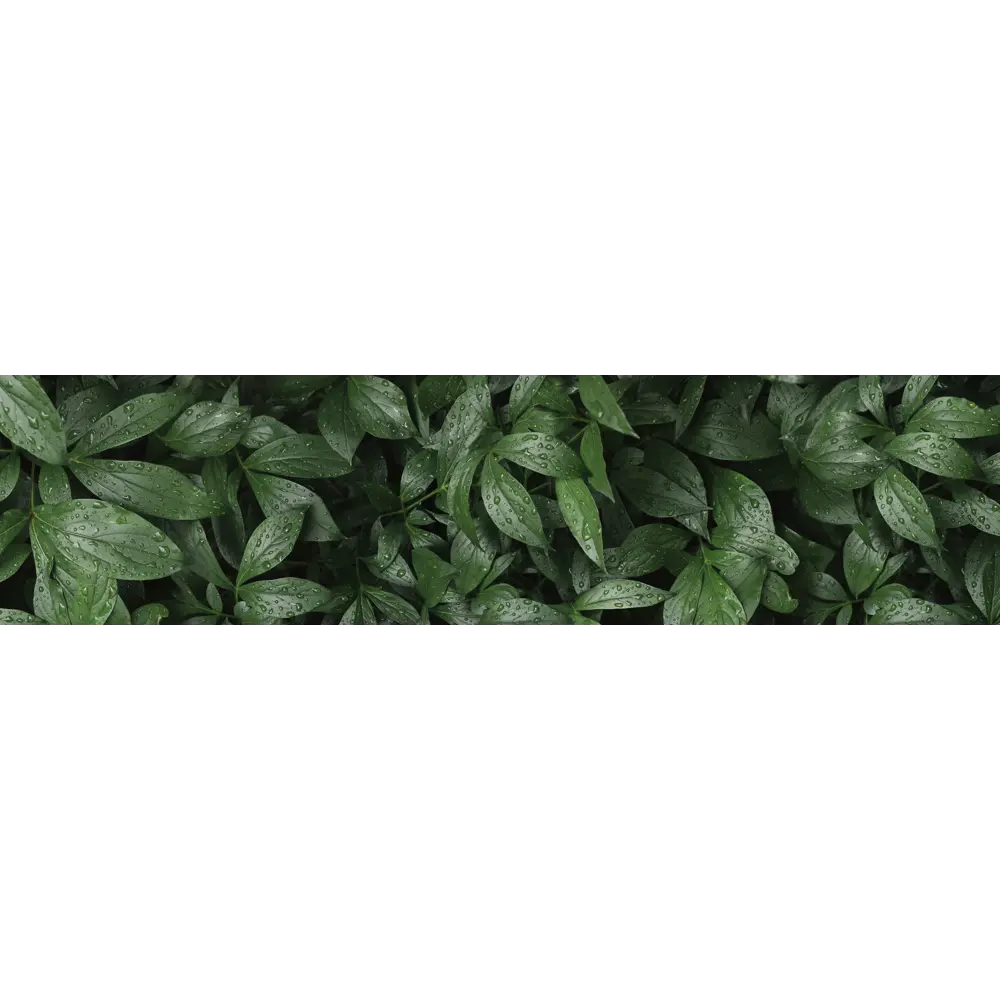 Стеновая панель Botanical Gar 240x0.4x60 см АКП цвет зеленый 89199615 STLM-2065918 ALUMOART  - Вид №2