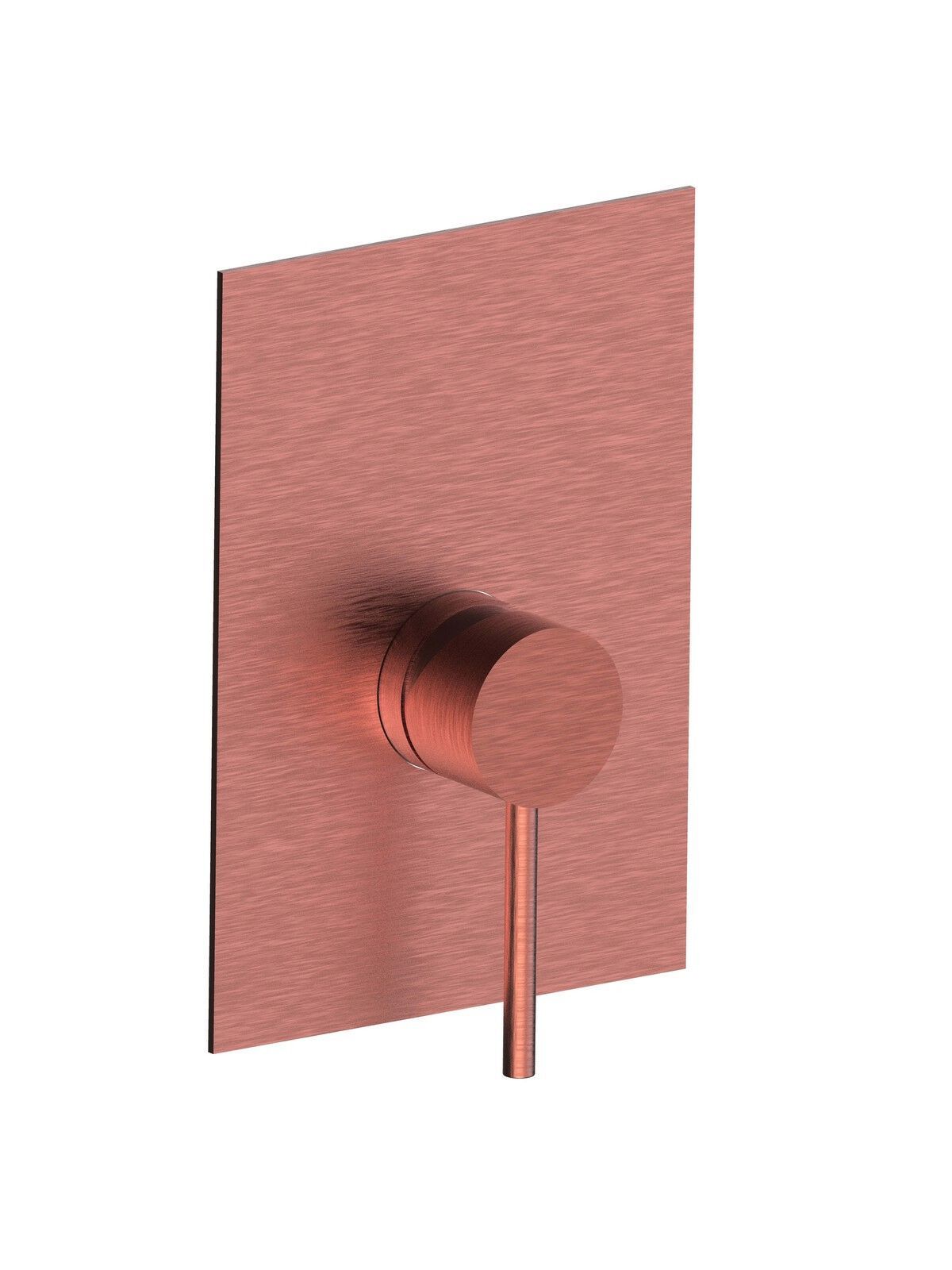 Однорычажный смеситель для душа из нержавеющей стали с пластиной Rubinetterie Frattini Pepe XL 316 ARCH-00087851 - Вид №5