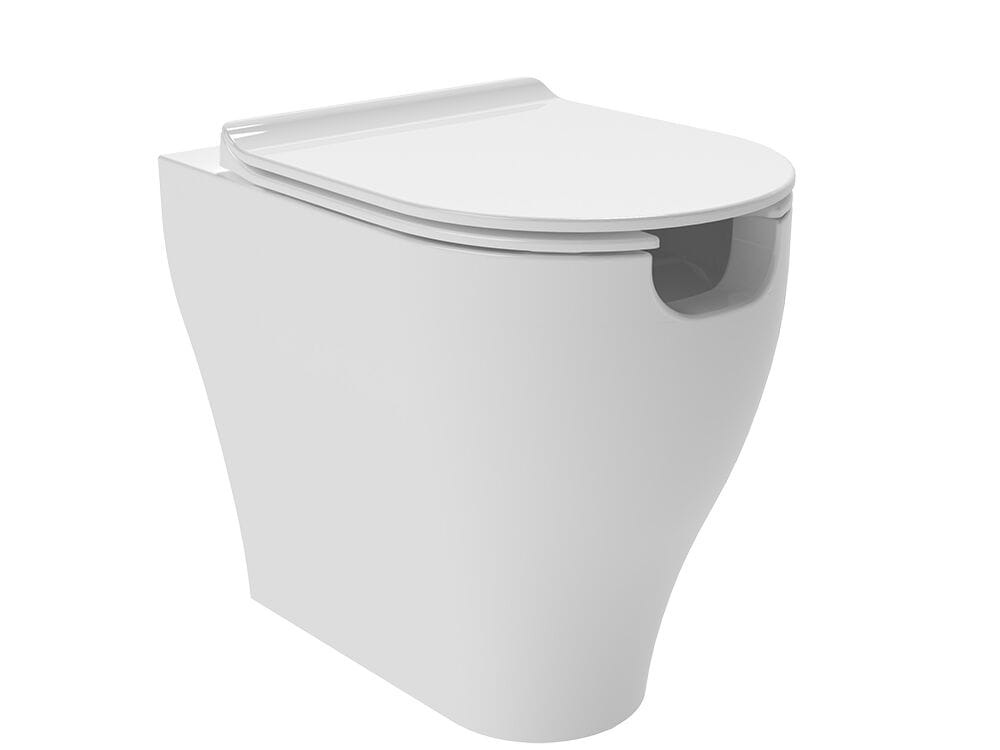 Напольный керамический туалет биде Ceramica Flaminia APP SOLUTION ARCH-00136003