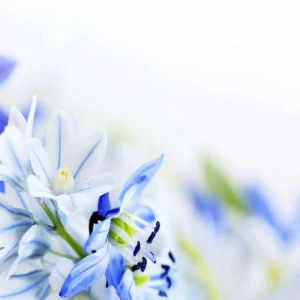 WP00589 Фотообои Verol Фотообои decoline 1х1 м