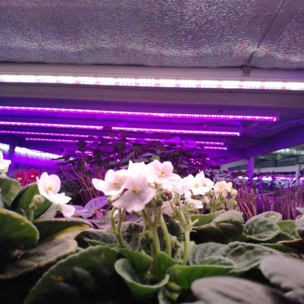 1037 Фитолампа для растений линейная VA-3 90 см Фулл комфорт 4000+660 LAB.Space  - Вид №2