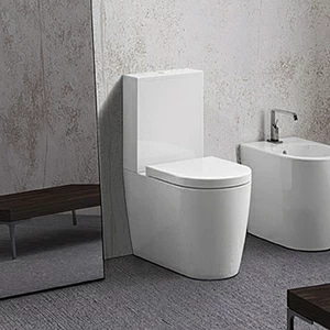 SK00300001 Компакт унитаз с бачком Белый Disegno Ceramica Skip Италия