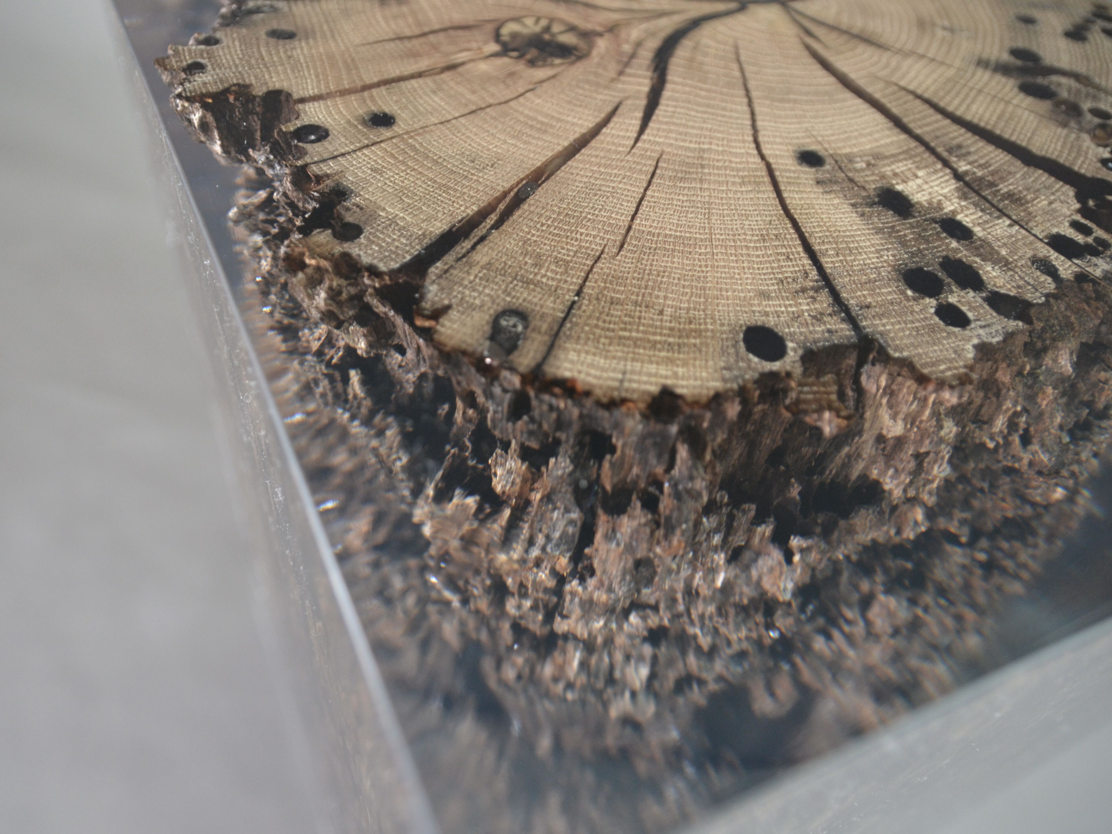 Табурет / журнальный столик из дуба и смолы alcarol Bricola ARCH-00047970 - Вид №9