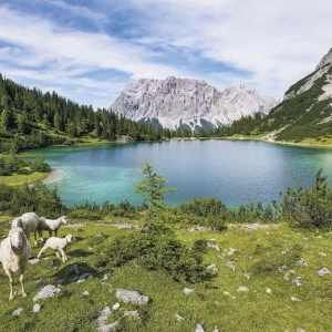 SH070-VD4-Paradise-Lake Фотообои Komar Stefan Hefele 2.5х4 м