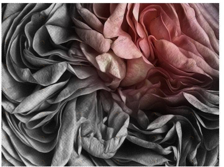 Jetclass Картина  Jbs408 