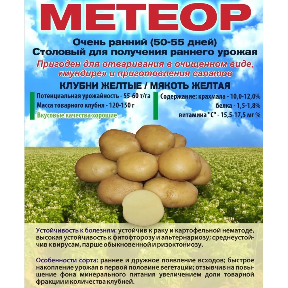 Картофель Метеор Суперэлита 0.25 кг 89413141 STLM-2114542 Santreyd 