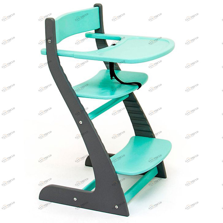 Детский растущий регулируемый стул "Усура" графит, мятный БЕЛЬМАРКО  326889 Голубой;серый Santreyd 