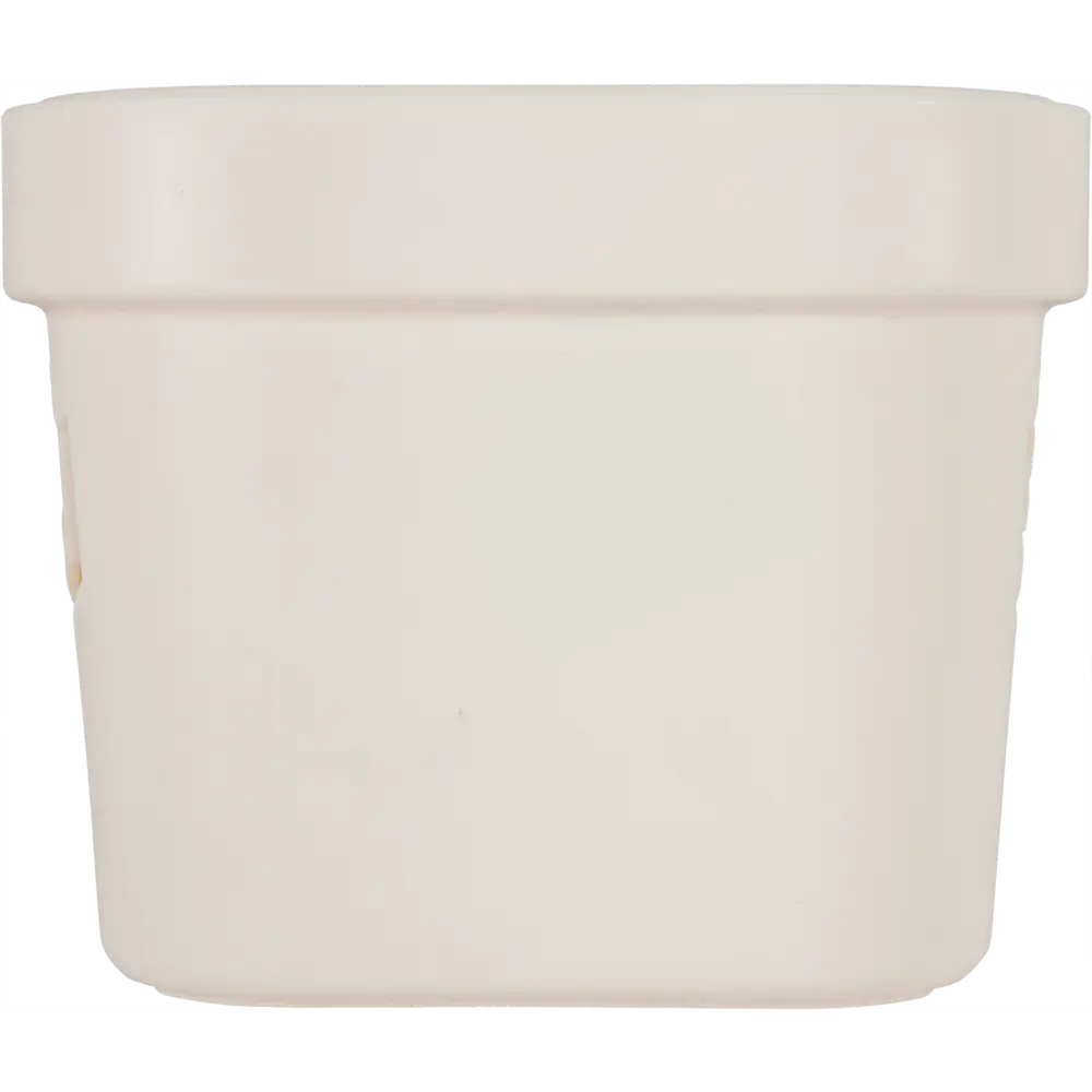 Ящик Deluxe с крышкой 19x13x11 см 1.9 л пластик цвет бежевый БЫТПЛАСТ STLM-2158011 - Вид №3
