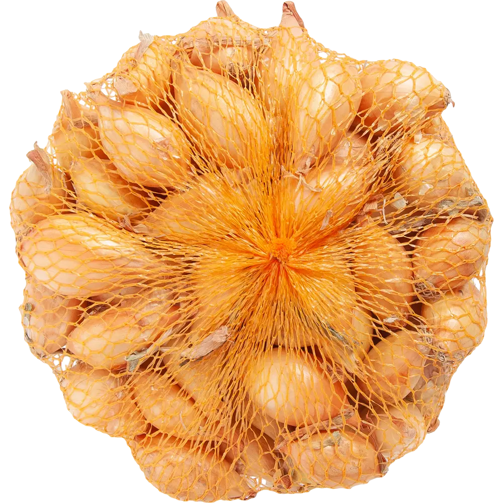 Лук-севок Сеншуй Елоу Глоб 450 г ПРЕСТИЖ СЕМЕНА STLM-2144938 - Вид №1